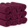Luxury Washcloths for Bathroom Hotel Spa Kitchen Set of 12 Pcs Circlet Egyptian Cotton Highly Absorbent Hotel Quality Face Towels 13x13 Inch Wine Red