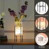 Vase Set for Flowers Plants, Clear Vase with Black Stand, Modern Decorative with Timer LED Lights Battery Operated,(Set of 2)